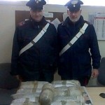 TROVATI DAI CARABINIERI NELLA RISERVA NATURALE DELLE CESINE 36 CHILI DI MARIJUANA