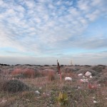 OTRANTO, TRA CUNICOLI SOTTERANEI, CAVA DI BAUXITE E SCIE CHIMICHE – reportage fotografico