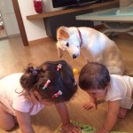 I NOSTRI AMICI ANIMALI / LE STORIE DI FEDERICA