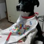 I NOSTRI AMICI ANIMALI / LE STORIE DI FEDERICA