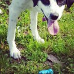 I NOSTRI AMICI ANIMALI / LE STORIE DI FEDERICA