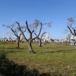UNA RICOGNIZIONE A TUTTO…CAMPO SUL FRONTE DI SAN FOCA E DI MELENDUGNO. IL ‘COMITATO NO TAP’ SUL PIEDE DI GUERRA CONTRO IL GASDOTTO: “Alle forzature ci opporremo con forza”