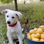 I NOSTRI AMICI ANIMALI / LE STORIE DI FEDERICA