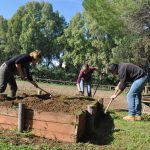 DIARIO DEL GIORNO DOPO /  LABORATORI / ‘ARTE DA COLTIVARE’ A LECCE MARTEDI’ 26
