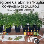 UN ARRESTO PER DROGA A GALATINA