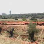 I GRAVI PROBLEMI DELLA DISCARICA DI CORIGLIANO