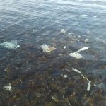 UN MARE DI PLASTICA – reportage fotografico