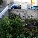 PREGIUDICATO SOPRESO CON LA DROGA DAI CARABINIERI, IN CARCERE UN UOMO RESIDENTE A CASTRO