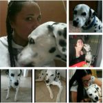 I NOSTRI AMICI ANIMALI / LE STORIE DI FEDERICA