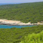 INCENDIO NEL PARCO DI PUNTA PIZZO