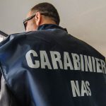 DUE FALSI CARABINIERI ARRESTATI (DA QUELLI VERI)