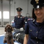 I NOSTRI AMICI ANIMALI / LE STORIE DI FEDERICA