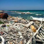CI SONO I SOLDI PER RIPULIRE E VALORIZZARE L’ OASI NATURALE DELLE CESINE. L’ ANNUNCIO – E LA LEGITTIMA SODDISFAZIONE – DI CRISTIAN CASILI: “Ne faremo un parco multifunzionale, del cibo, della pesca e della didattica, che potrà garantire importanti opportunità lavorative”