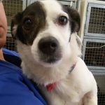 I NOSTRI AMICI ANIMALI / LE STORIE DI FEDERICA