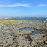 DENUNCIATI TRE PESCATORI DI RICCI A TORRE LAPILLO