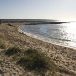 EROSIONE DELLE SPIAGGE, A PORTO CESAREO UN PROGETTO ORGANICO PER COMBATTERLA TUTTO ECOCOMPATIBILE