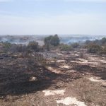 INCENDIO DOLOSO NELLA PERIFERIA DI TARANTO