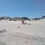 FURTO DI SABBIA, SFREGIO ALLA SPIAGGIA
