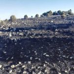 EMERGENZA INCENDI – reportage fotografico