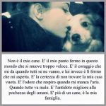 I NOSTRI AMICI ANIMALI / LE STORIE DI FEDERICA