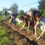 L’ AGRICOLTURA SALENTINA GIOVANILE PENALIZZATA