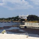 LA RIMOZIONE DELLE ALGHE A SAN CATALDO