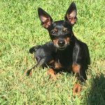 I NOSTRI AMICI ANIMALI / LE STORIE DI FEDERICA