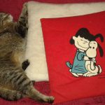 I NOSTRI AMICI ANIMALI / LE STORIE DI FEDERICA
