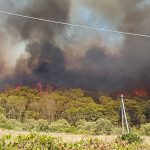 CI RISIAMO, E SEMPRE PEGGIO. RITORNA L’ EMERGENZA INCENDI – TUTTI DOLOSI – NEL SALENTO, UN’ ALTRA DEVASTAZIONE DEL NOSTRO PATRIMONIO NATURALE, SENZA CHE NESSUNO RIESCA A FARE QUALCOSA. PRIMA