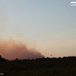 POMERIGGIO DI DEVASTAZIONE, BRUCIANO LE MARINE DI LECCE. E’ VERA EMERGENZA ORMAI: C’E’ IN ATTO UN PIANO CRIMINALE PRECISO. INTERVENGANO SUBITO LE AUTORITA’ – reportage fotografico