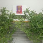 UN ARRESTO PER DROGA A RACALE
