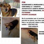 I NOSTRI AMICI ANIMALI / LE STORIE DI FEDERICA