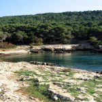 PESCAVANO RICCI NELL’ AREA PROTETTA DI PORTO CESAREO, QUATTRO PERSONE COLTE IN FLAGRANTE E DENUNCIATE