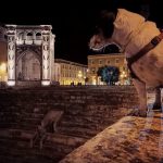 GRAZIE PER LA FOTO