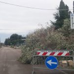 DANNI PER LA FORTE PIOGGIA A LECCE E DINTORNI