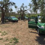 XYLELLA / LA ‘VIA GIUDIZIARIA’ CONTRO IL POPOLO DEGLI ULIVI: IN TRE INDAGATI PER LA PROTESTA A TORCHIAROLO