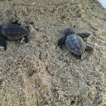 I NOSTRI AMICI ANIMALI / LE STORIE DI FEDERICA