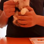 I NOSTRI AMICI ANIMALI / LE STORIE DI FEDERICA