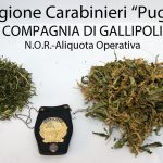 DOPPIA DENUNCIA PER UN UOMO DI SANNICOLA