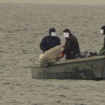 INCHIESTA DELLA PROCURA DELLA REPUBBLICA DI LECCE CONTRO I PREDATORI DI OLOTURIE, SEQUESTI, DENUNCE