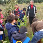 DIARIO DEL GIORNO DOPO / RICORRENZE / LA FESTA DEGLI ALBERI A LECCE LUNEDI’ 21