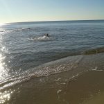 BAGNI A MARE DI SANTO STEFANO