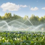 IL FINANZIAMENTO A IMPIANTI PER IL RIUTILIZZO DI ACQUE REFLUE A FINI AGRICOLI