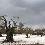 CALIMERA, BEFANA 2017, PRIMO POMERIGGIO