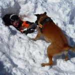 I NOSTRI AMICI ANIMALI / LE STORIE DI FEDERICA