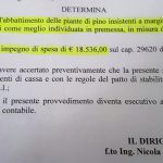 PIPPI MELLONE DI LOTTA PRIMA E DI GOVERNO POI. E’ ANCORA POSSIBILE SALVARE A NARDO’ I PINI DI ALEPPO SECOLARI DI CONTRADA PATTUINI?