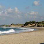 TROVATO ALTRO TRITOLO SULLA SPIAGGIA DI TORCHIAROLO