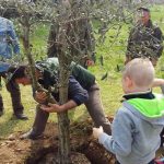 UN NUOVO ALBERO PER OGNI NEONATO