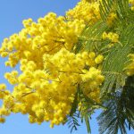 OGGI, IL GORNO DELLE DONNE