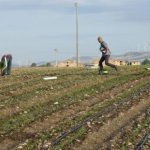 INTIMIDAZIONE A LECCE CONTRO UNA SINDACALISTA